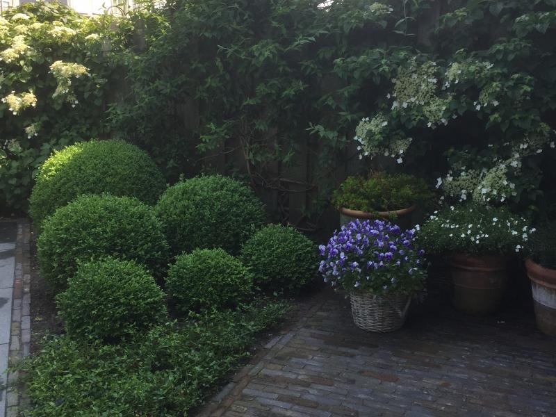 tuinrenovatie rijnsburg1