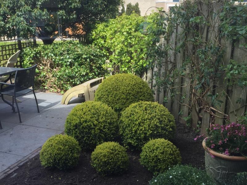 tuinrenovatie rijnsburg2