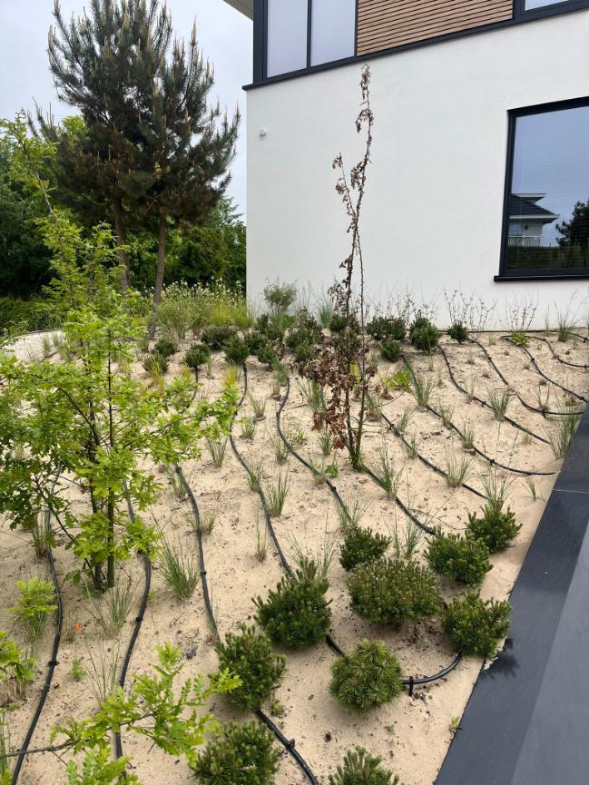 irrigatie noordwijk tuinaanleg 2